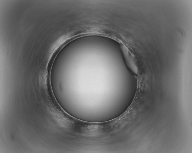 X0000111850152200907231436