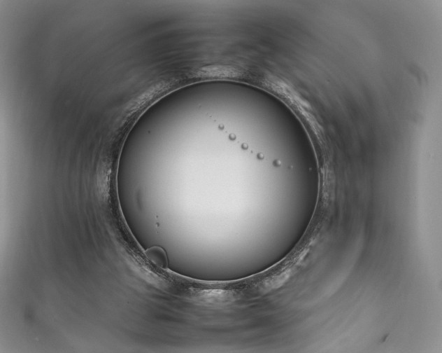 X0000111850153200907231436