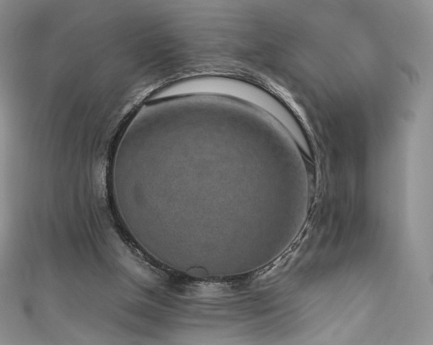 X0000111850154200907231436