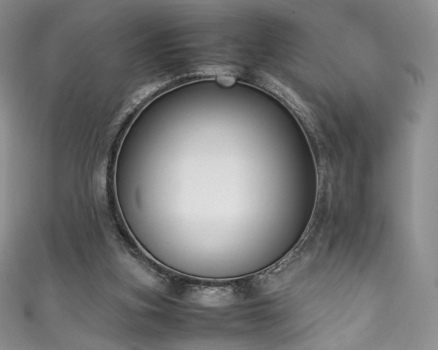 X0000111850155200907231436