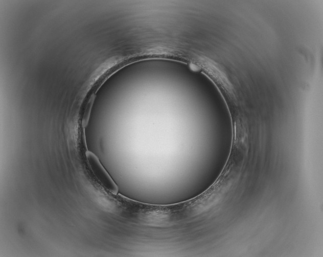 X0000111850156200907231436