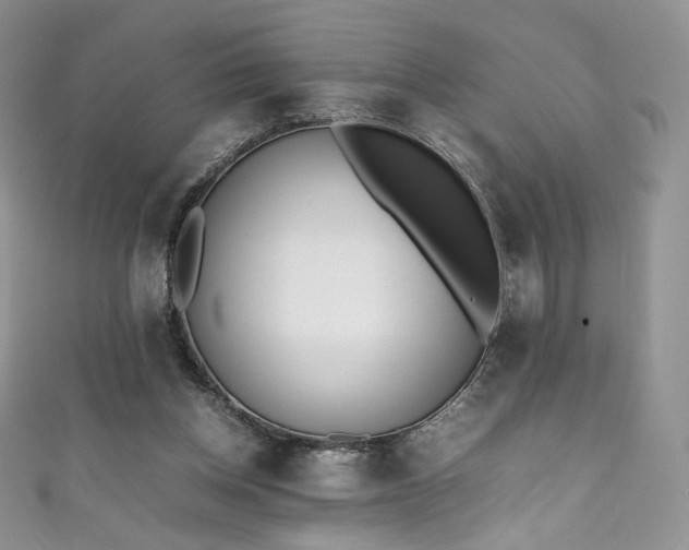 X0000111850158200907231436