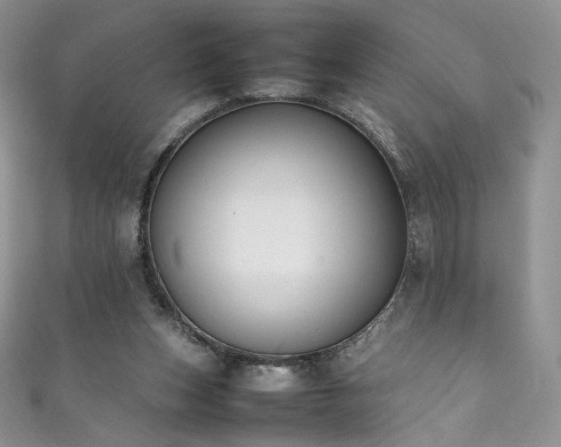 X0000111850159200907231436