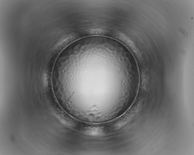 X0000111850161200907231436