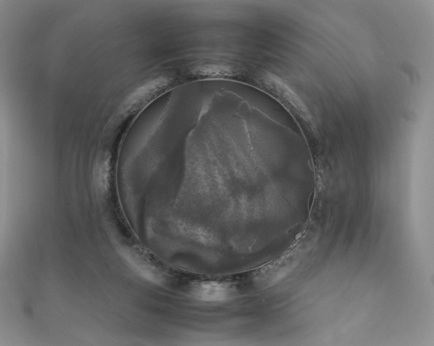 X0000111850163200907231436
