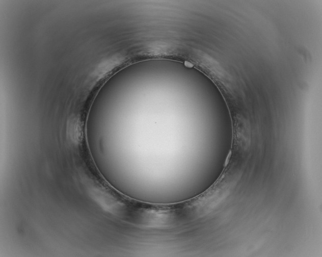 X0000111850164200907231436