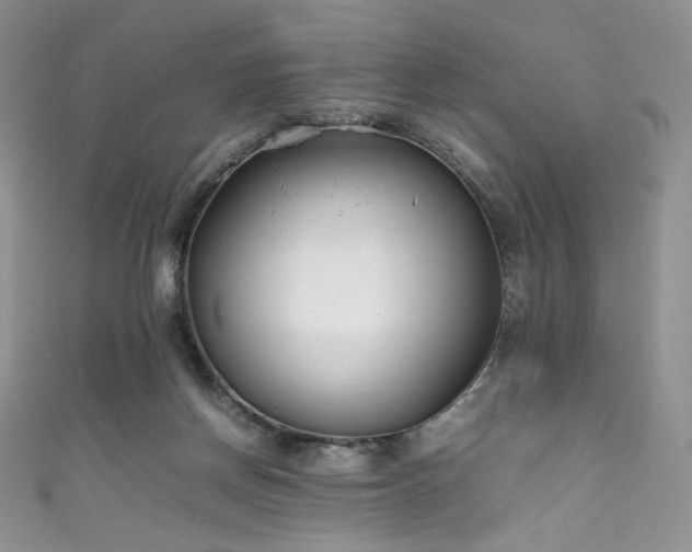 X0000111850166200907231436