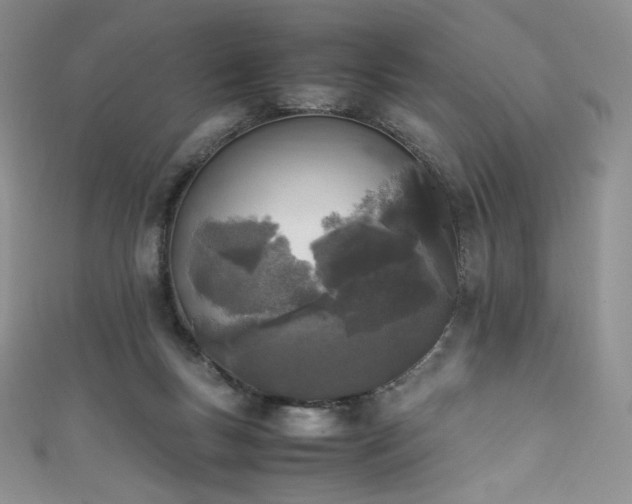 X0000111850167200907231436