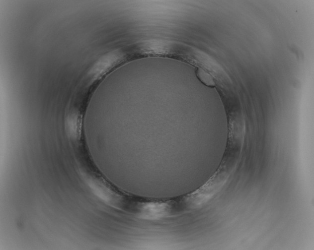 X0000111850168200907231436