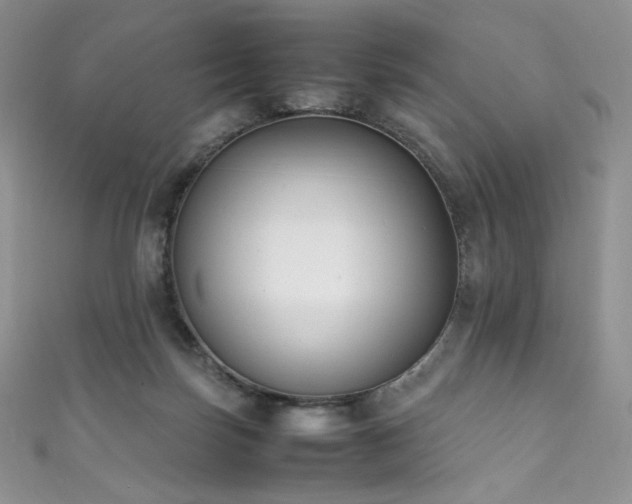 X0000111850171200907231436