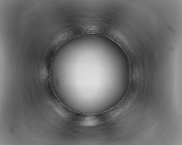 X0000111850173200907231436