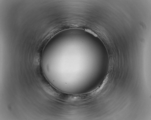 X0000111850174200907231436