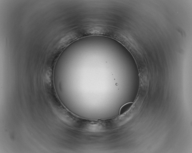 X0000111850175200907231436
