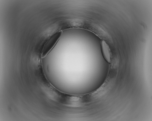 X0000111850176200907231436