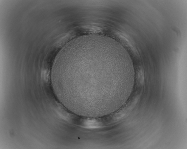 X0000111850177200907231436