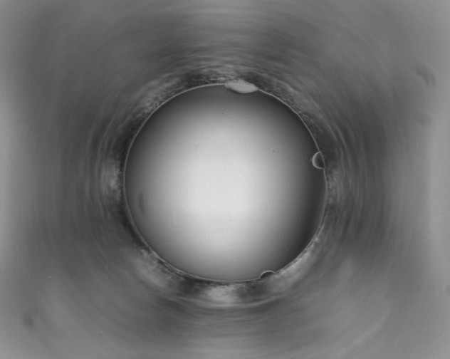 X0000111850178200907231436