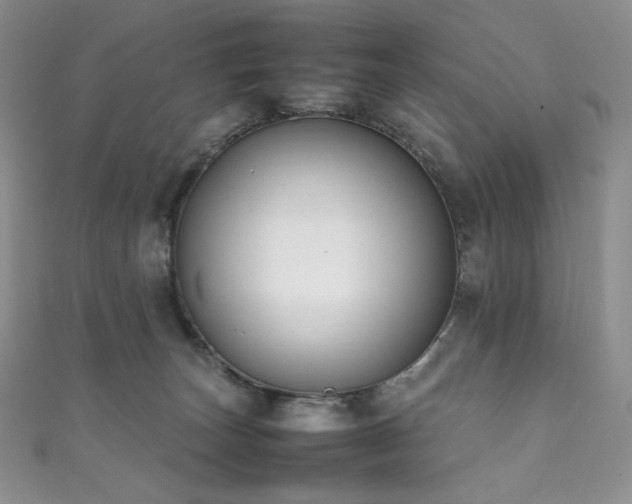 X0000111850179200907231436