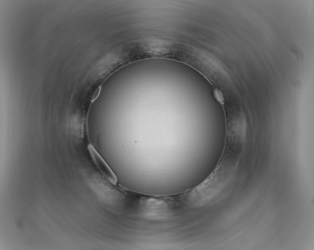 X0000111850180200907231436