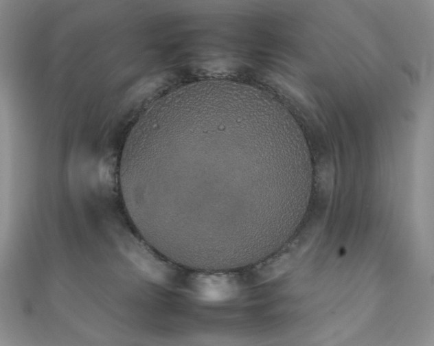 X0000111850181200907231436