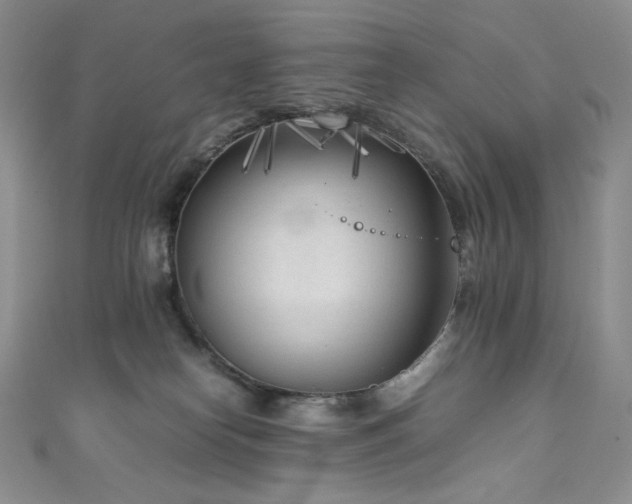 X0000111850182200907231436