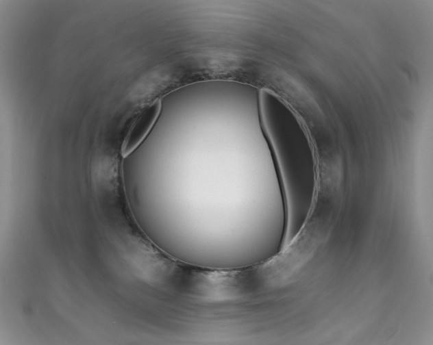X0000111850184200907231436