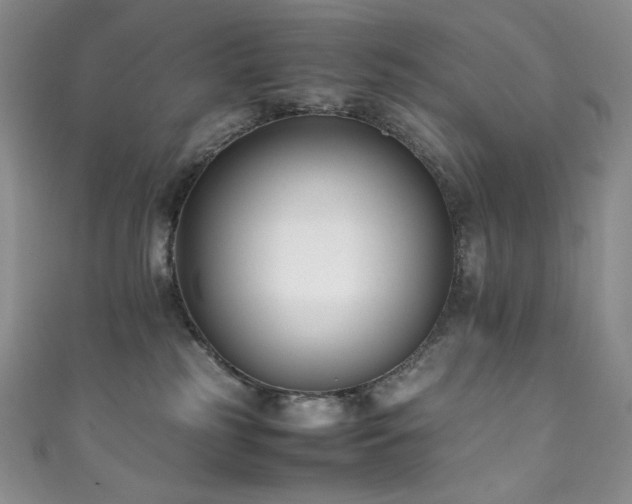 X0000111850185200907231436