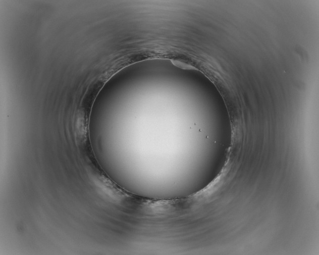 X0000111850186200907231436