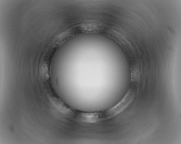 X0000111850187200907231436