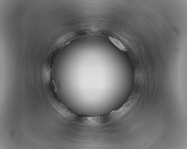 X0000111850188200907231436