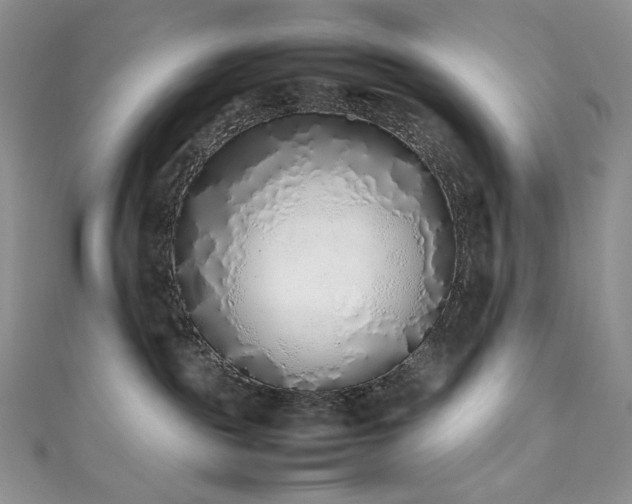 X0000111850189200907231436