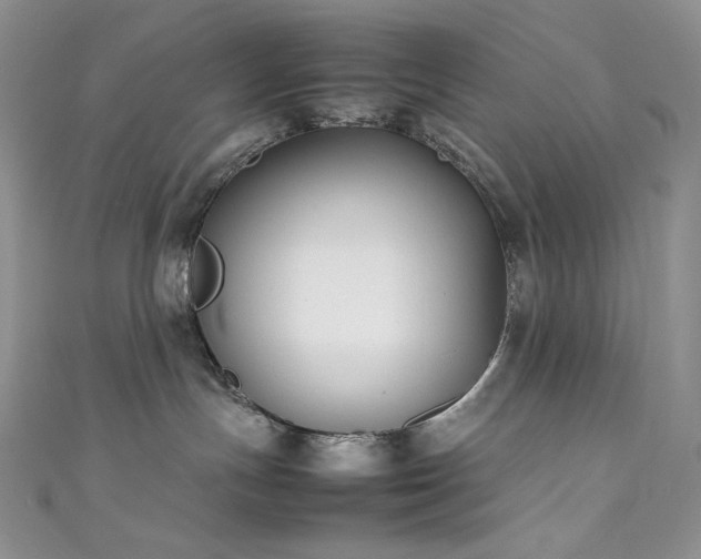 X0000111850191200907231436