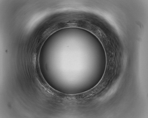 X0000111850194200907231435
