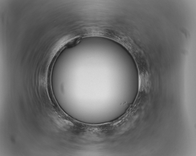 X0000111850195200907231435