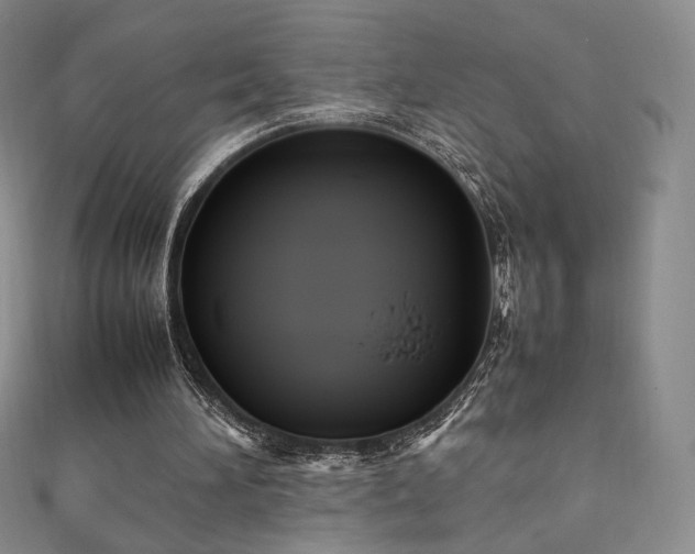 X0000111850196200907231435