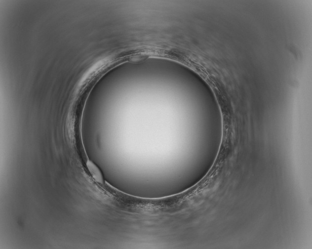 X0000111850197200907231435