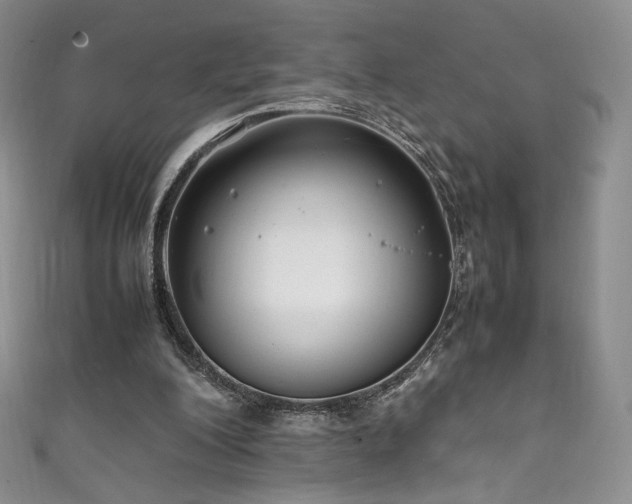 X0000111850200200907231435