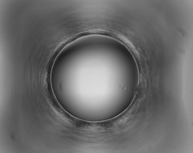 X0000111850201200907231435