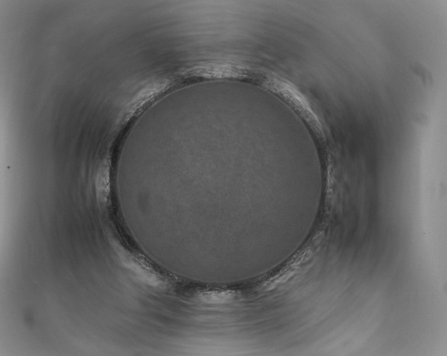 X0000111850202200907231435