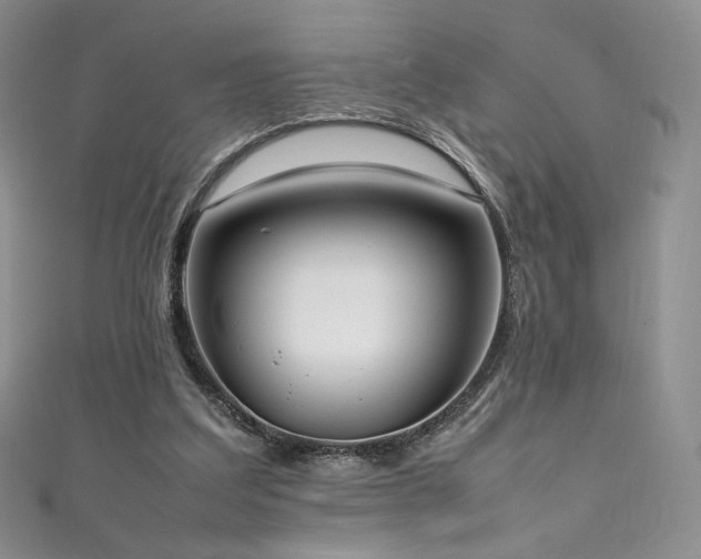 X0000111850203200907231435