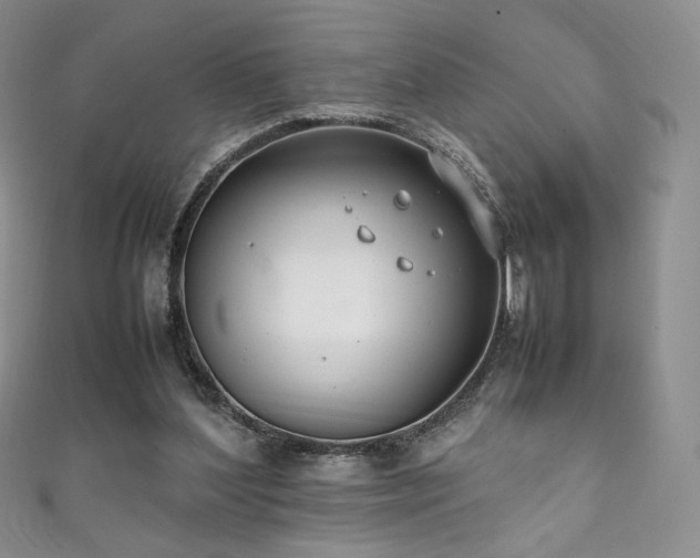 X0000111850204200907231435