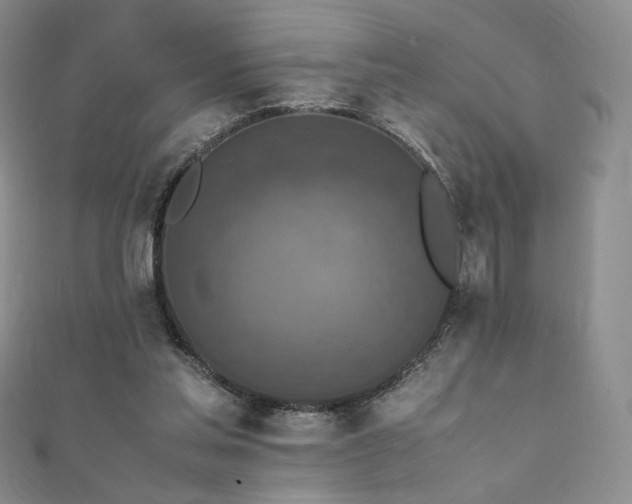 X0000111850205200907231435