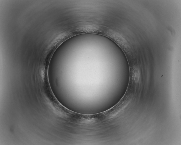 X0000111850206200907231435