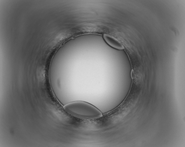X0000111850207200907231435
