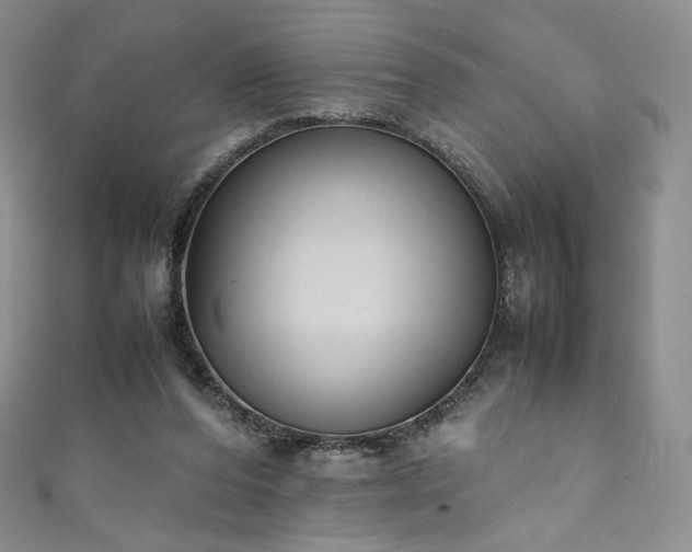 X0000111850208200907231435