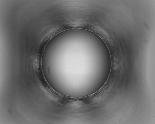 X0000111850210200907231435