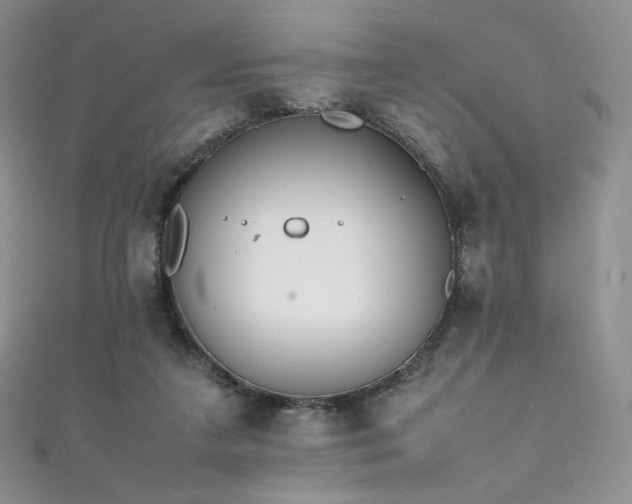 X0000111850211200907231435