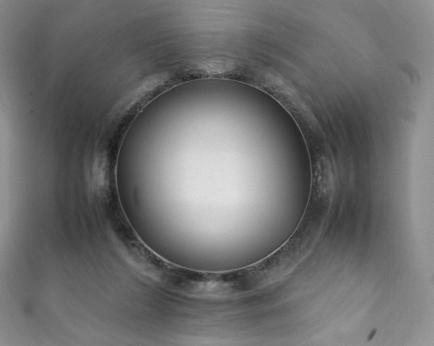 X0000111850212200907231435