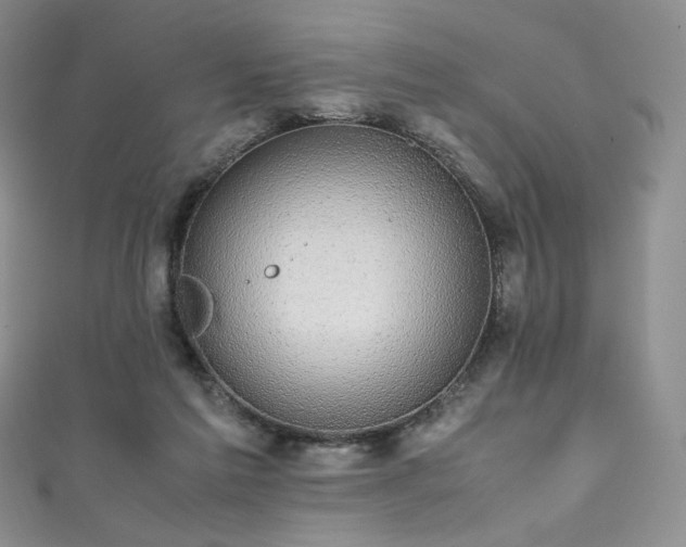 X0000111850213200907231435
