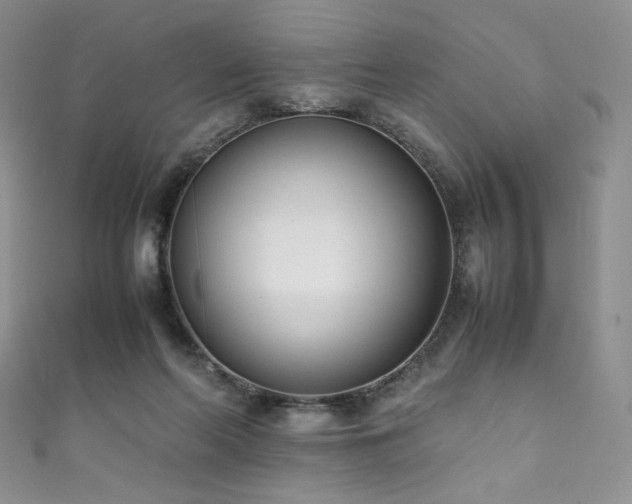 X0000111850214200907231435