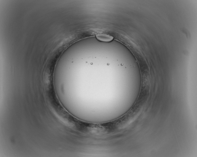 X0000111850215200907231435